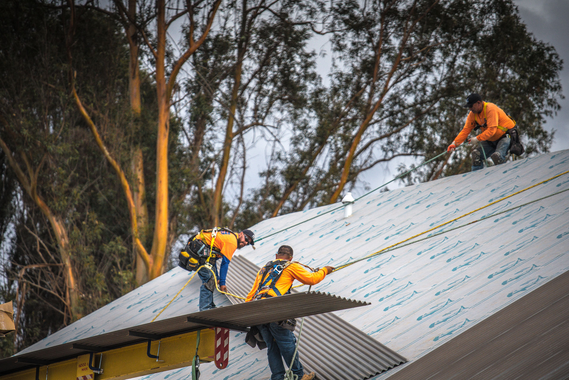 Sharkskin Roof Underlayment - We've Got You Covered